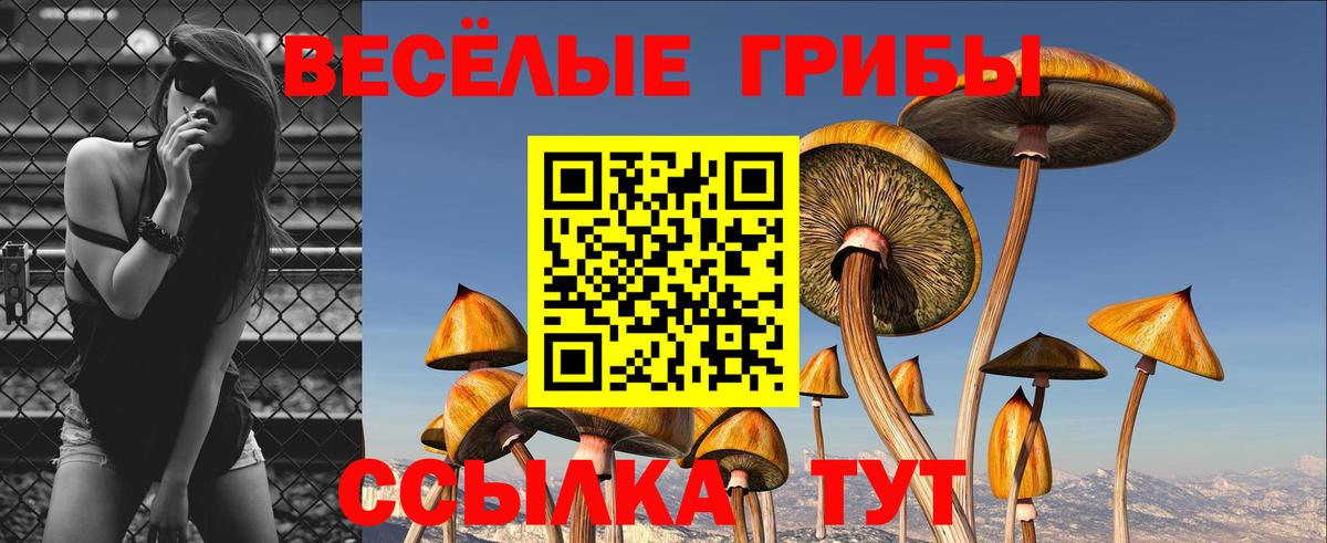 Люберцы  Галлюциногенные грибы прущие грибы  Вход с VPN  Галлюциногенные грибы мухоморы 