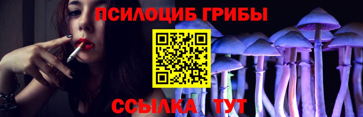 Псилоцибиновые грибы прущие грибы Люберцы